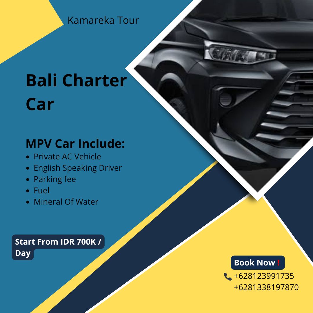 Professional Bali driver with modern vehicle